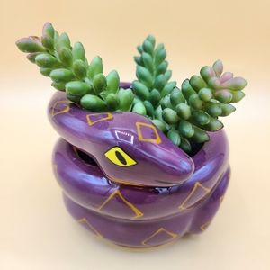 Snake Planter & Faux Succulent Decor